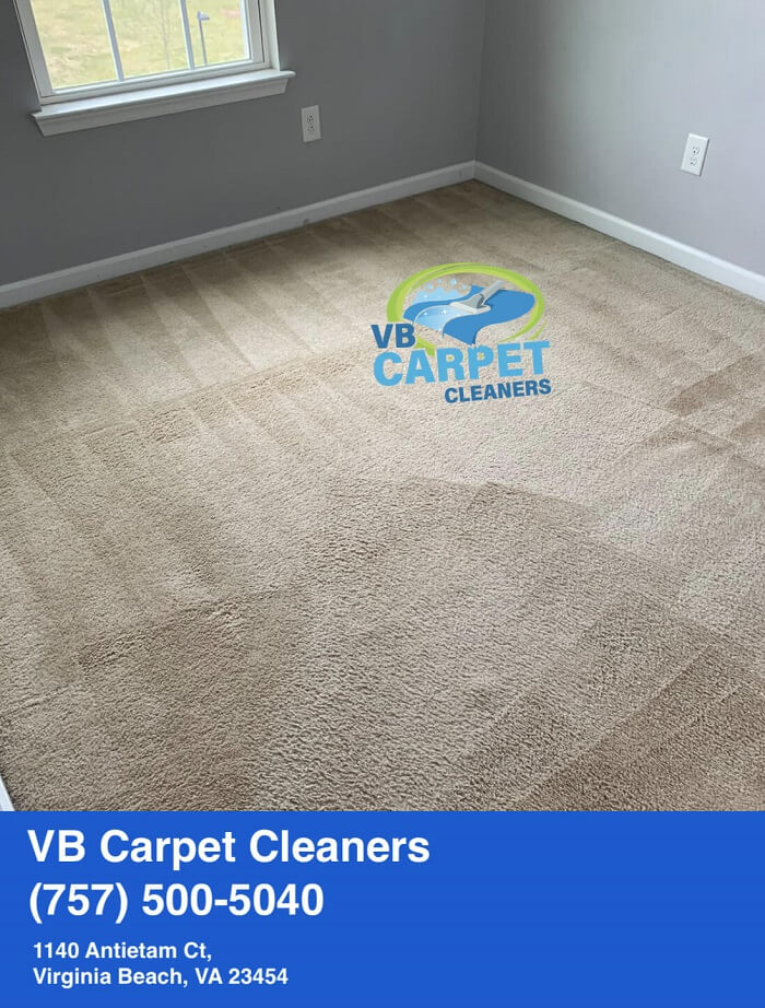 VB Carpet Cleaners Carpet Cleaning, Upholstery Cleaning, Air duct & Dryer vent cleaning in
