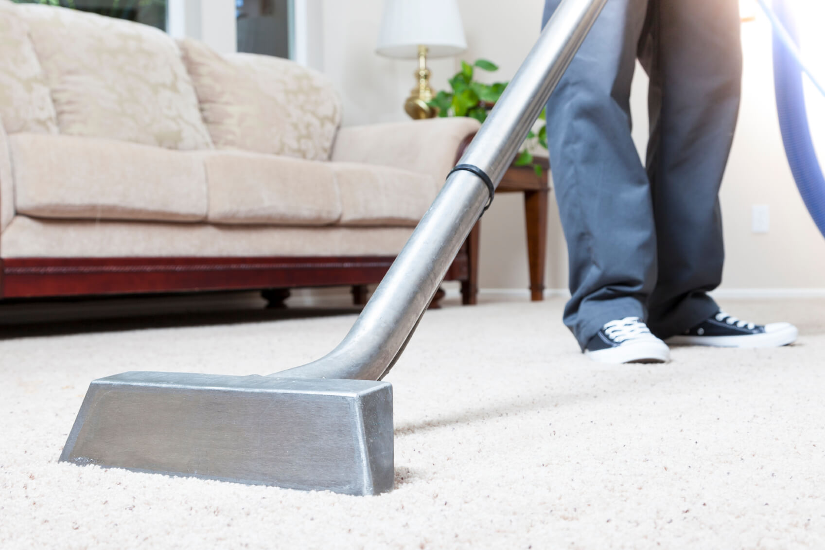 Carpet Cleaners In Virginia Beach Va Carpet Vidalondon