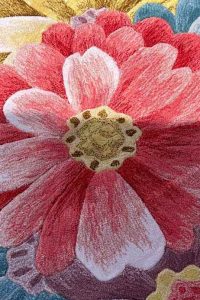 Area Rug Cleaning Newport News, VA 8th section