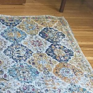 Area Rug Cleaning in Portsmouth, VA 2nd section