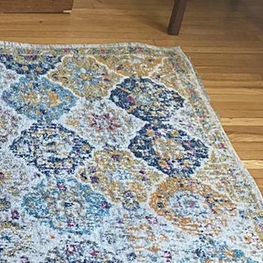 Area Rug Cleaning in Portsmouth, VA 2nd section