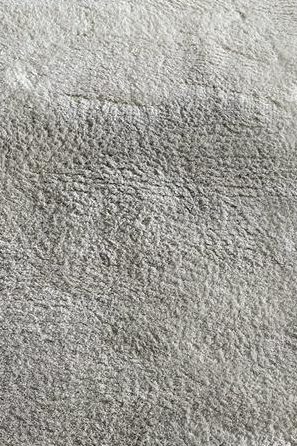 Area Rug Cleaning in Portsmouth, VA 8th section