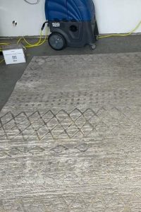 Area Rug Cleaning in Suffolk, VA 4th section