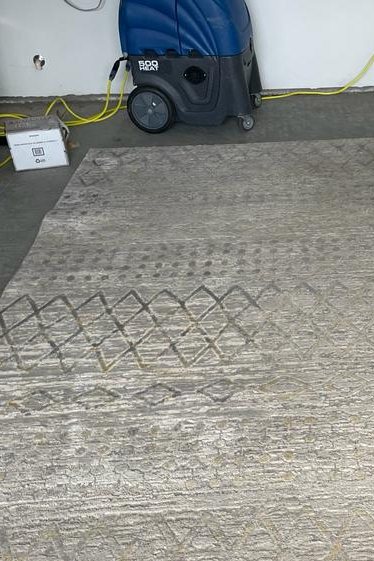Area Rug Cleaning in Suffolk, VA 4th section