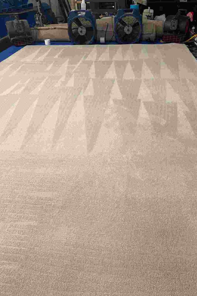 Area Rug Cleaning 4th Section Area Rug Cleaning 4th Section