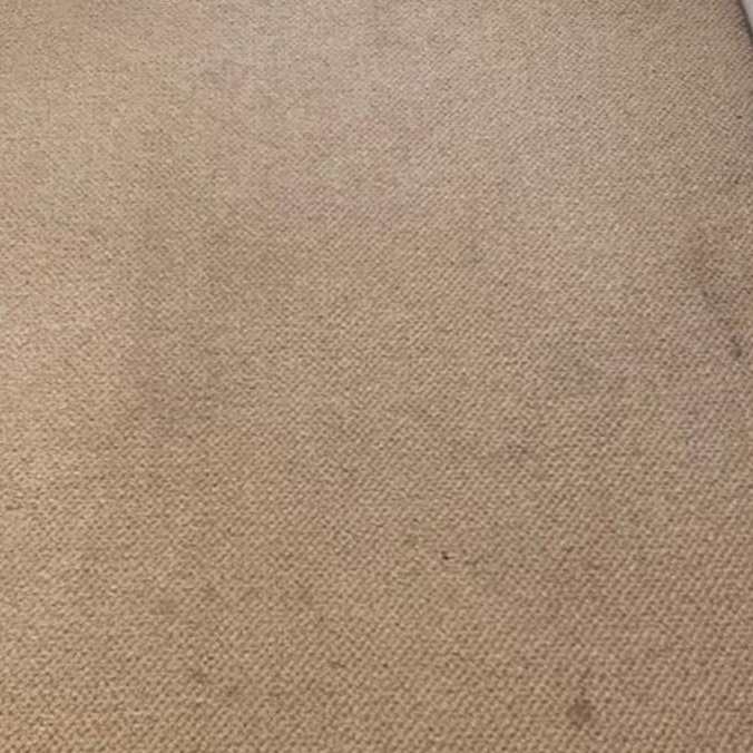 Carpet Cleaning in Chesapeake, VA 2nd section