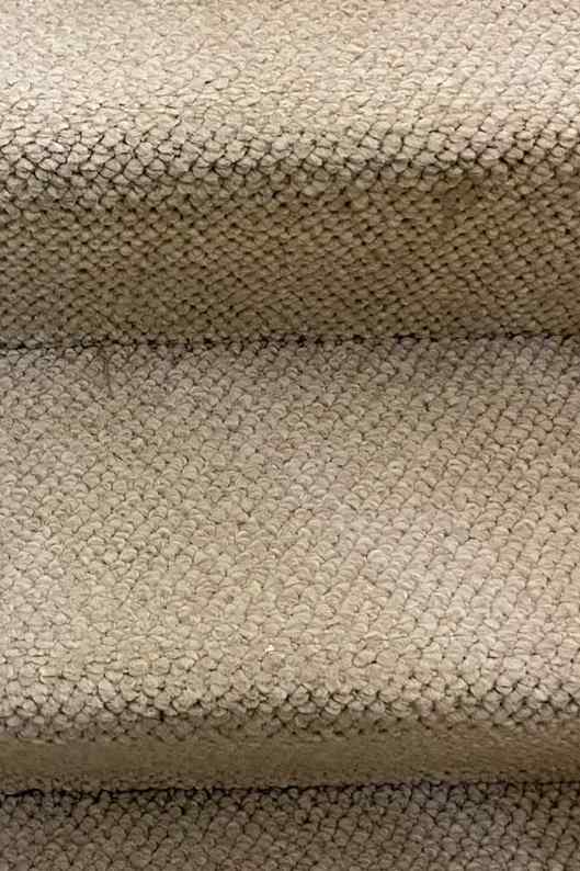 Carpet Cleaning in Chesapeake, VA 4th section