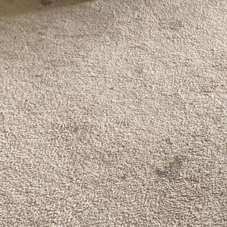 Carpet Cleaning in Chesapeake, VA 8th section