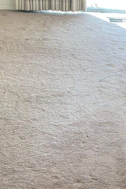 Carpet Cleaning in Chesapeake, VA Hero - Mobile Carpet Cleaning in Chesapeake, VA Hero - Mobile