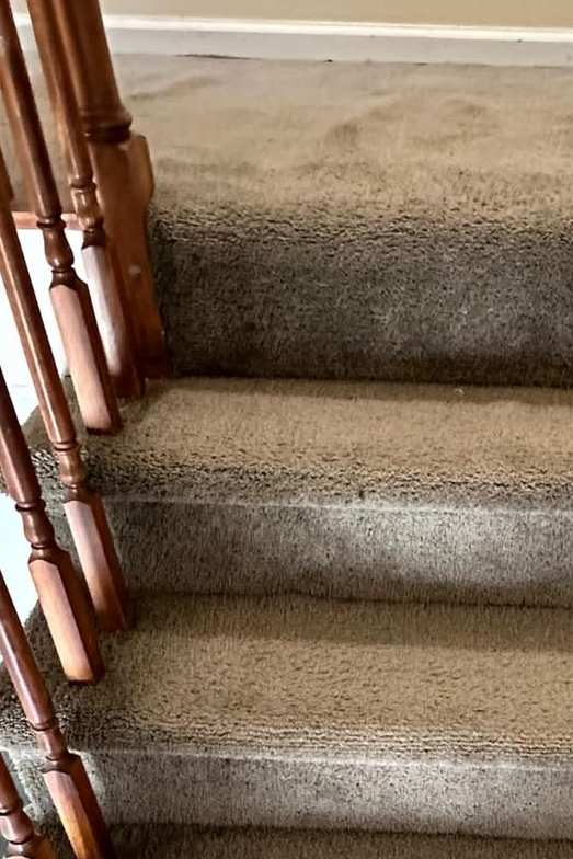 Carpet Cleaning in Hampton, VA 4th section