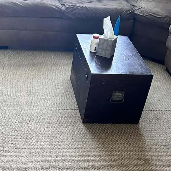 Carpet Cleaning in Hampton, VA 8th section