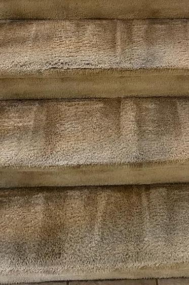 Carpet Cleaning in Hampton, VA Hero - Mobile Carpet Cleaning in Hampton, VA Hero - Mobile