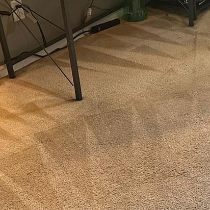 Carpet Cleaning in Newport News VA 8th section