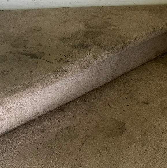 Carpet Cleaning in Norfolk VA 2nd section Carpet Cleaning in Norfolk VA 2nd section