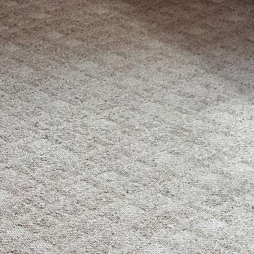 Carpet Cleaning in Norfolk VA 8th section Carpet Cleaning in Norfolk VA 8th section