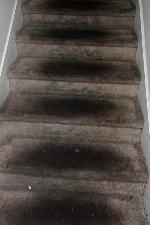 Carpet Cleaning in Portsmouth VA 4th section Carpet Cleaning in Portsmouth VA 4th section