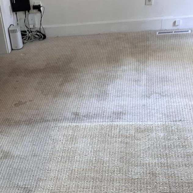 Carpet Cleaning in Portsmouth VA 8th section Carpet Cleaning in Portsmouth VA 8th section