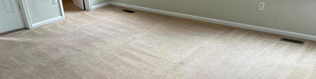 Carpet Cleaning in Portsmouth VA Hero - Desktop Carpet Cleaning in Portsmouth VA Hero - Desktop