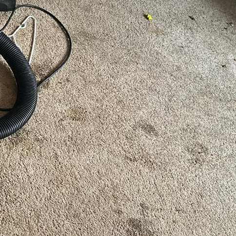 Carpet Cleaning in Suffolk VA 2nd section