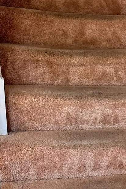 Carpet Cleaning in Suffolk VA 4th section