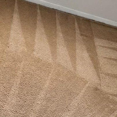Carpet Cleaning in Suffolk VA 8th section