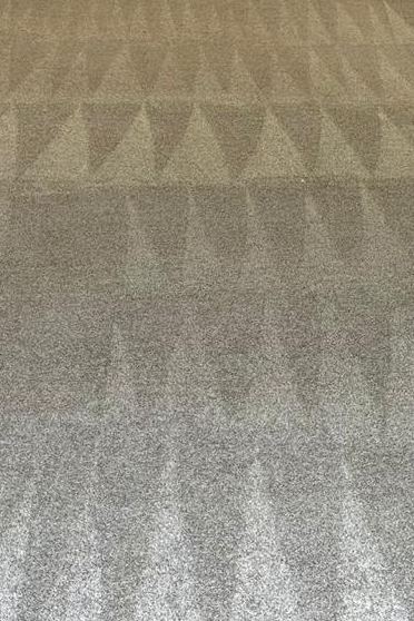 Carpet Cleaning in Suffolk VA Hero - Mobile Carpet Cleaning in Suffolk VA Hero - Mobile