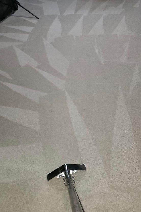 Carpet Cleaning in Virginia Beach VA 4th section Carpet Cleaning in Virginia Beach VA 4th section