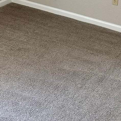 Carpet Cleaning in Virginia Beach VA 8th section Carpet Cleaning in Virginia Beach VA 8th section