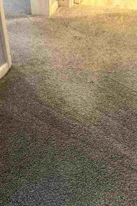Commercial Carpet Cleaning 10th section mobile