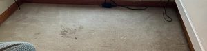 Commercial Carpet Cleaning 4th section desktop