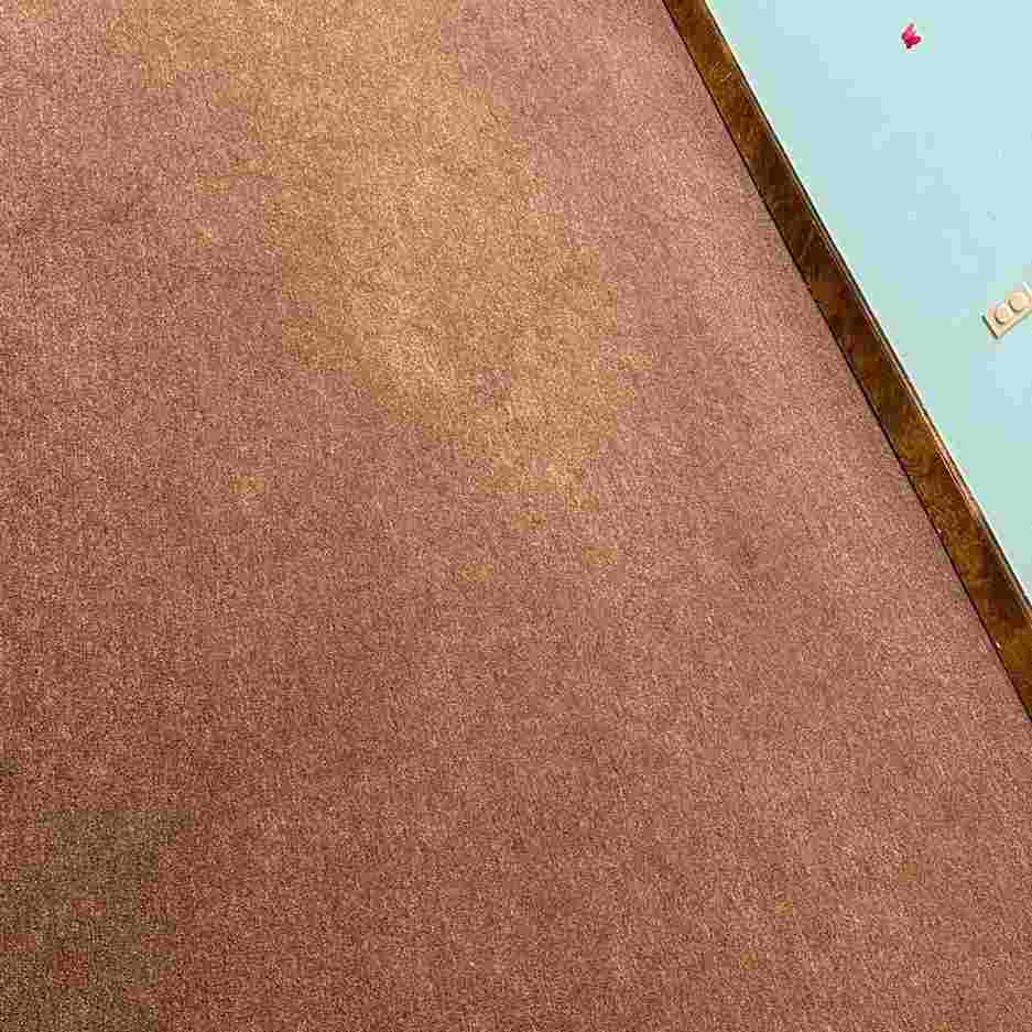 Commercial Carpet Cleaning 6th section