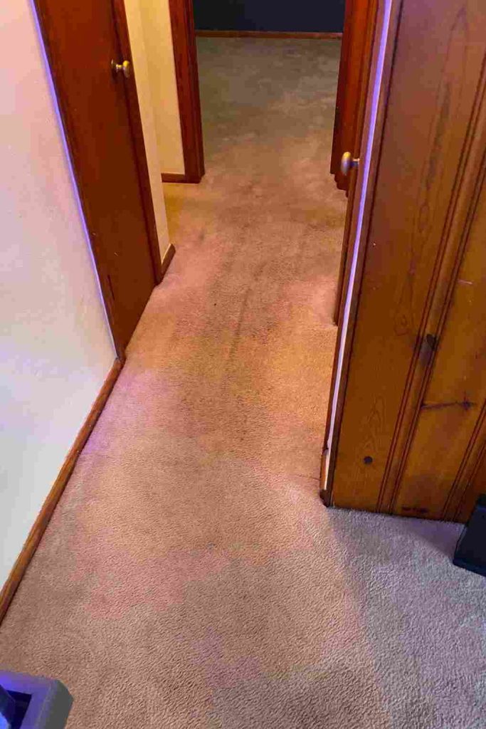 Commercial Carpet Cleaning 7th section