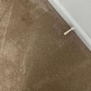 Commercial Carpet Cleaning in Newport News 2nd section