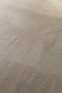 Commercial Carpet Cleaning in Newport 5th section