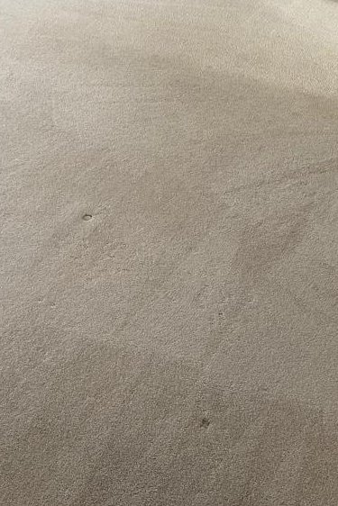 Commercial Carpet Cleaning in Newport 5th section