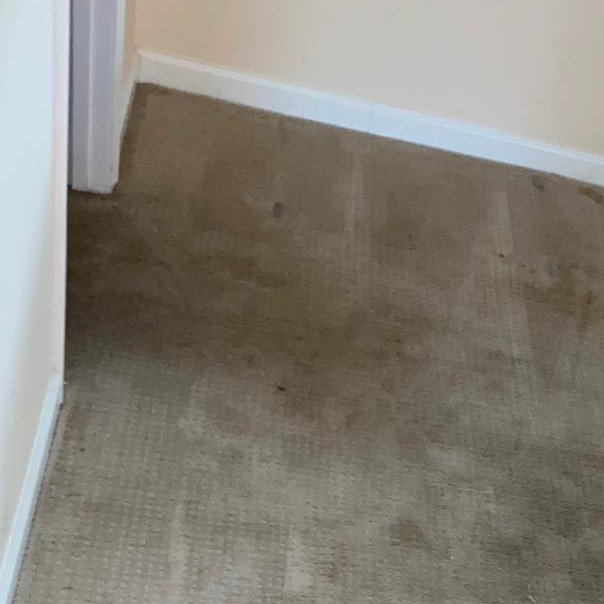 Commercial Carpet Cleaning in Newport 8th section