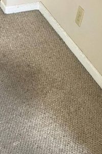 Commercial Carpet Cleaning in Chesapeake 4th section