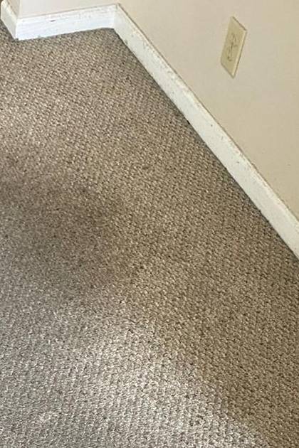 Commercial Carpet Cleaning in Chesapeake 4th section