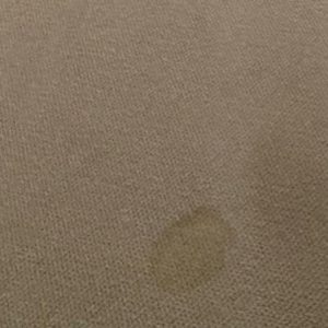 Commercial Carpet Cleaning in Chesapeake 8th section