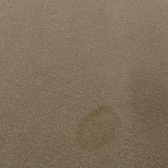 Commercial Carpet Cleaning in Chesapeake 8th section