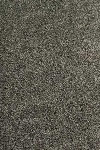 Commercial Carpet Cleaning in Chesapeake Hero - Mobile