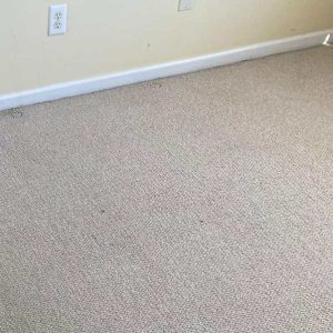 Commercial Carpet Cleaning in Hampton 2nd section