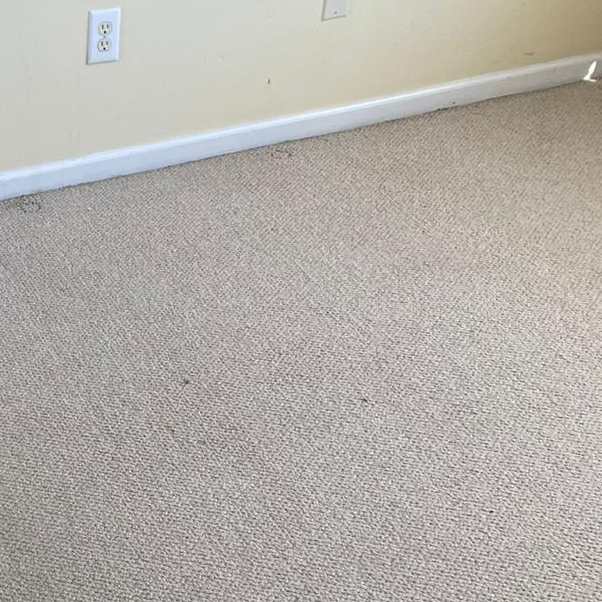 Commercial Carpet Cleaning in Hampton 2nd section