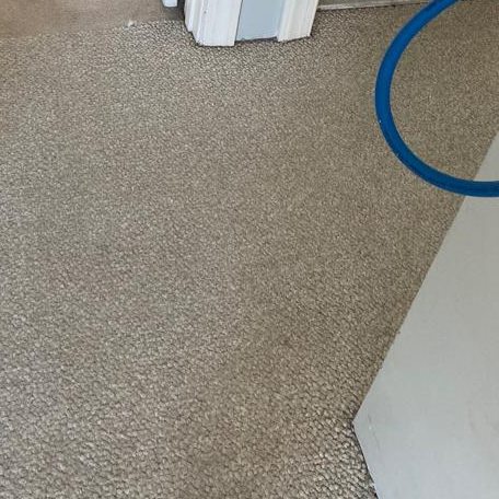 Commercial Carpet Cleaning in Norfolk 2nd section