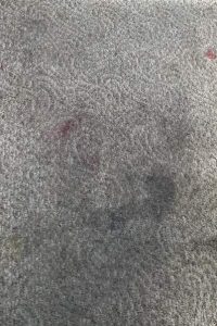 Commercial Carpet Cleaning in Norfolk 5th section