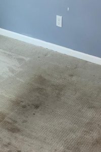 Commercial Carpet Cleaning in Norfolk Hero - Mobile