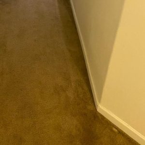 Commercial Carpet Cleaning in Portsmouth 2nd section