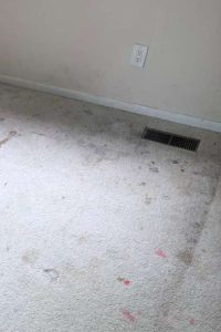 Commercial Carpet Cleaning in Portsmouth 5th section