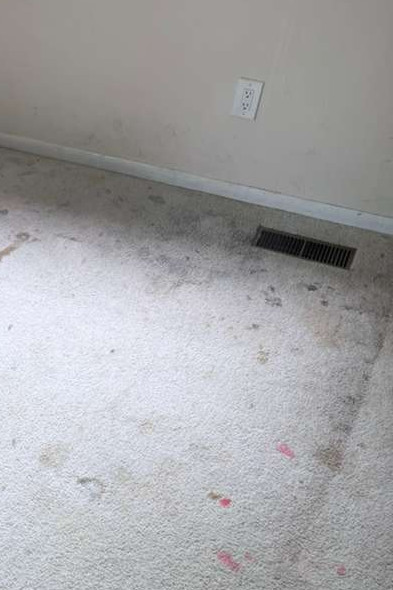 Commercial Carpet Cleaning in Portsmouth 5th section