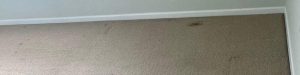 Commercial Carpet Cleaning in Portsmouth Hero